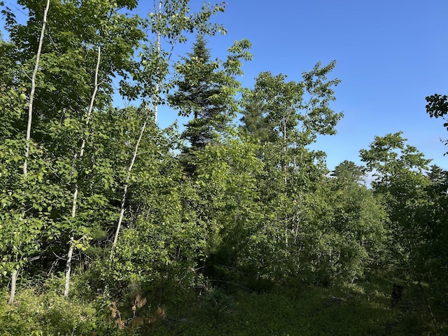 M4L19 Village Rd, Jackson, ME 04921