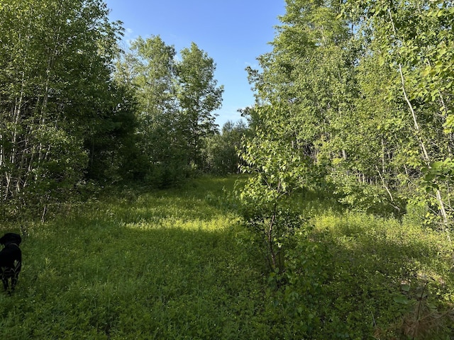 M4L19 Village Rd, Jackson, ME 04921