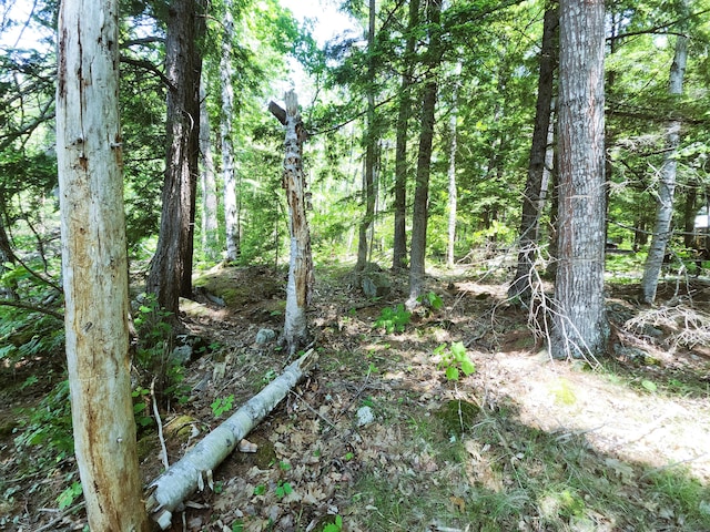 61 Meade Ln, Bridgton, ME 04009 - photo 21