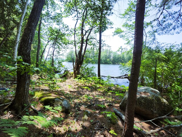 61 Meade Ln, Bridgton, ME 04009 - photo 17
