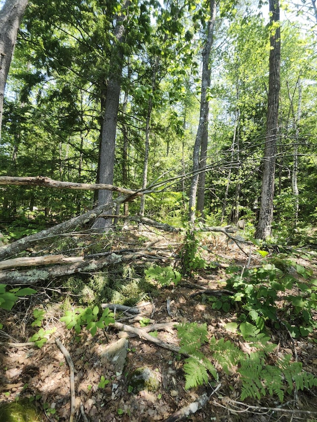 61 Meade Ln, Bridgton, ME 04009 - photo 19