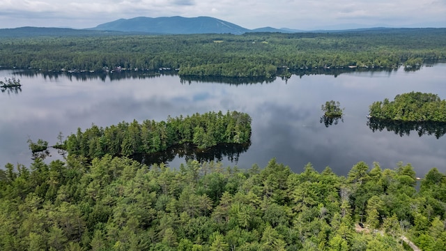 61 Meade Ln, Bridgton, ME 04009 - photo 1