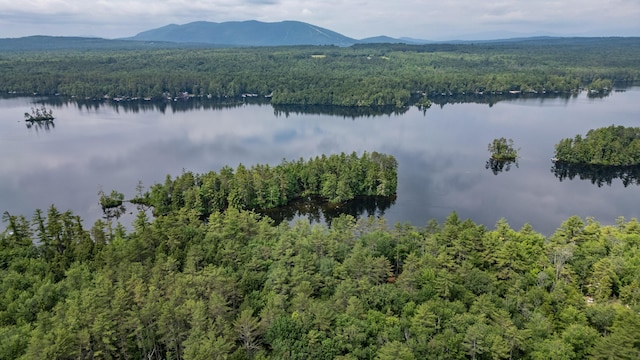 61 Meade Ln, Bridgton, ME 04009 - photo 25