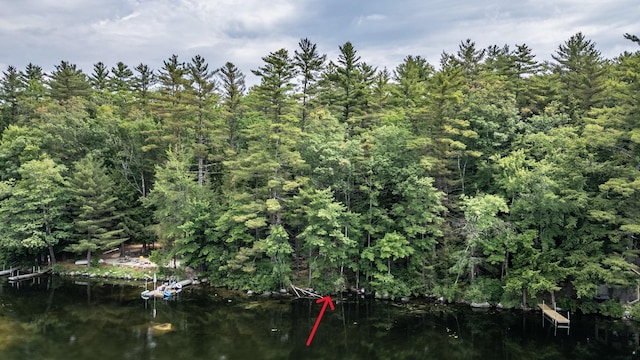 61 Meade Ln, Bridgton, ME 04009 - photo 26