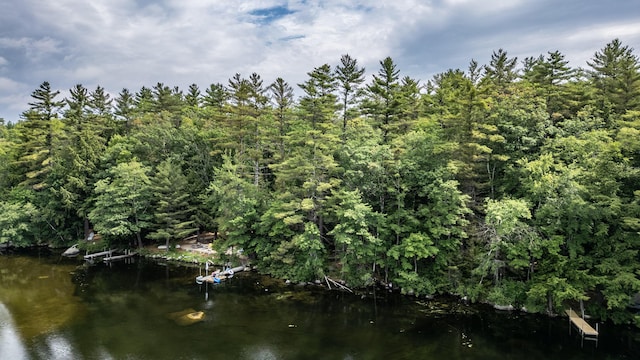 61 Meade Ln, Bridgton, ME 04009 - photo 29