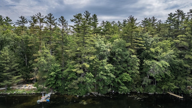 61 Meade Ln, Bridgton, ME 04009 - photo 31