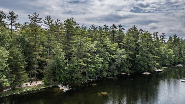 61 Meade Ln, Bridgton, ME 04009 - photo 32