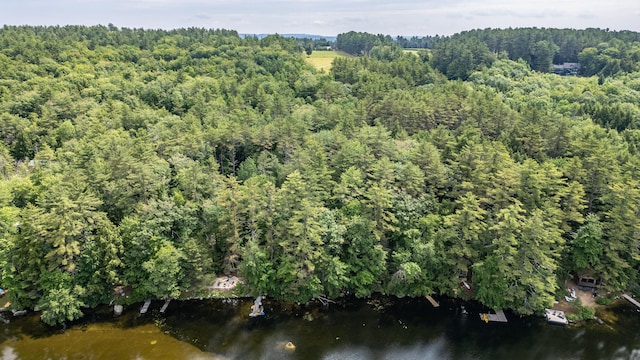 61 Meade Ln, Bridgton, ME 04009 - photo 34