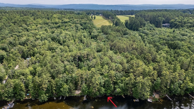 61 Meade Ln, Bridgton, ME 04009 - photo 35