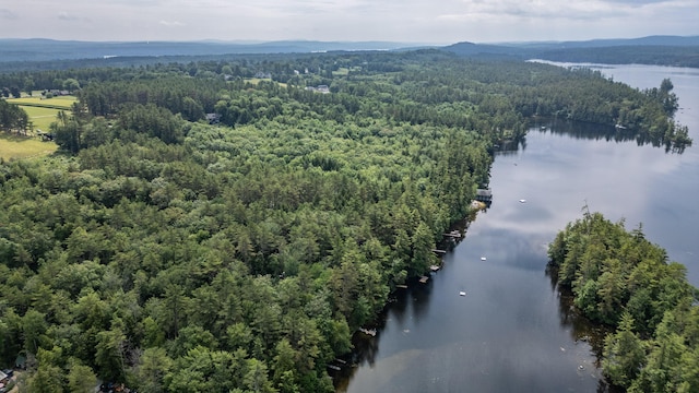 61 Meade Ln, Bridgton, ME 04009 - photo 39