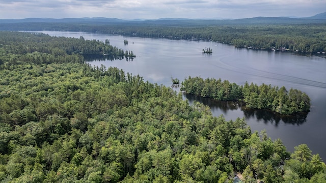 61 Meade Ln, Bridgton, ME 04009 - photo 43