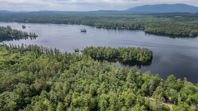 61 Meade Ln, Bridgton, ME 04009 - photo 44