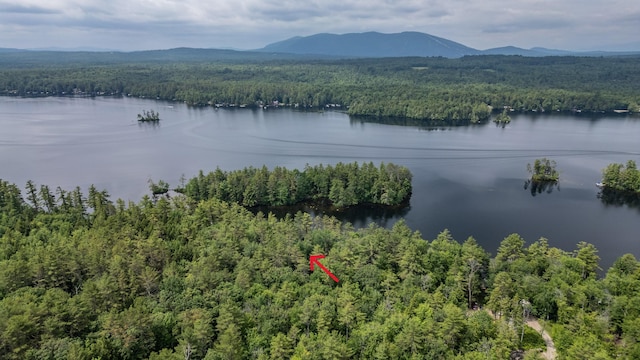 61 Meade Ln, Bridgton, ME 04009 - photo 45