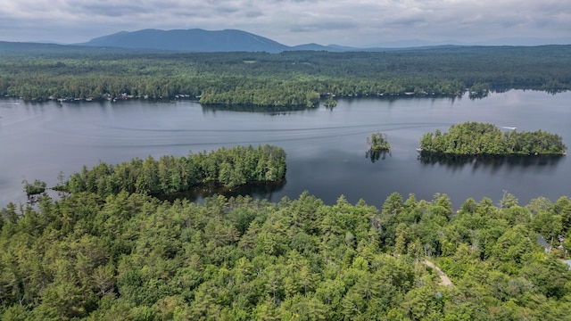 61 Meade Ln, Bridgton, ME 04009 - photo 46
