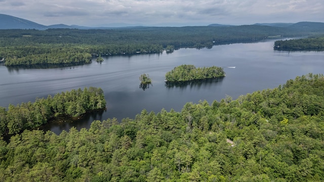 61 Meade Ln, Bridgton, ME 04009 - photo 47
