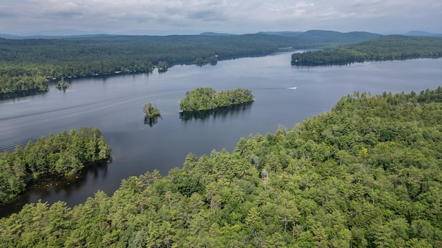 61 Meade Ln, Bridgton, ME 04009 - photo 48