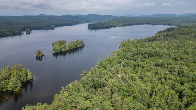 61 Meade Ln, Bridgton, ME 04009 - photo 49