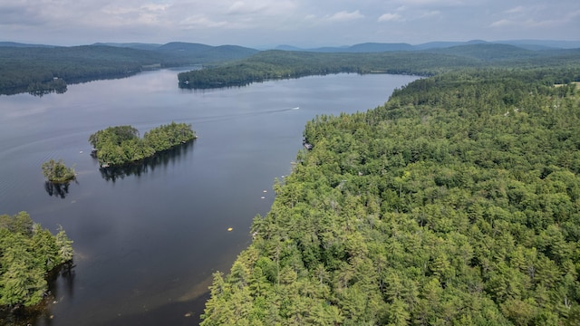 61 Meade Ln, Bridgton, ME 04009 - photo 50