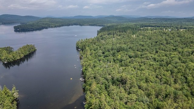 61 Meade Ln, Bridgton, ME 04009 - photo 51