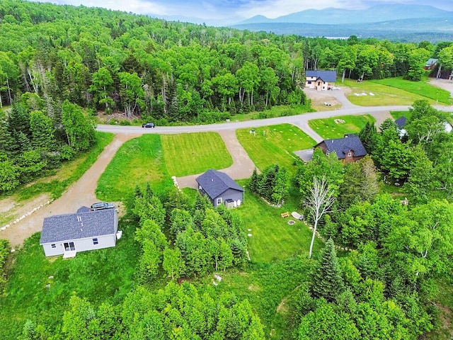 22 Big Snow Way, Rangeley, ME 04970 - photo 30