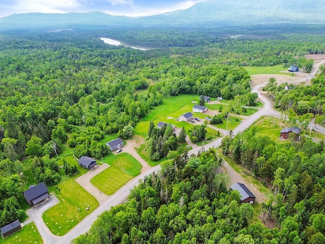 22 Big Snow Way, Rangeley, ME 04970 - photo 36