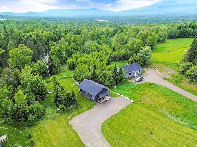 22 Big Snow Way, Rangeley, ME 04970 - photo 37