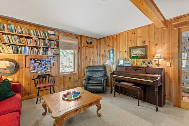 59 Wild Acres Rd, Raymond, ME 04071 - living area featuring wood walls and carpet flooring