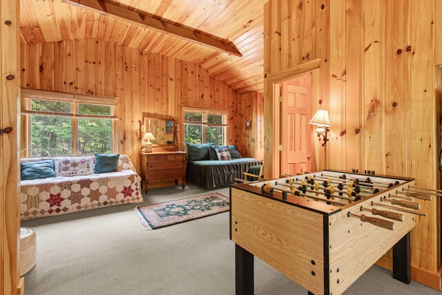 59 Wild Acres Rd, Raymond, ME 04071 - game room with carpet, wood walls, and wood ceiling