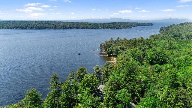 59 Wild Acres Rd, Raymond, ME 04071 - water view with a heavily wooded area and mountains