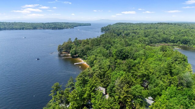 59 Wild Acres Rd, Raymond, ME 04071 - aerial view of a forest and a large body of water