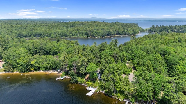 59 Wild Acres Rd, Raymond, ME 04071 - aerial view of property and surrounding area featuring a large body of water