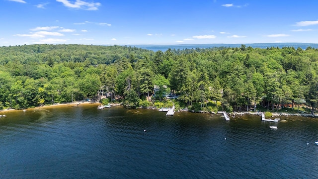 59 Wild Acres Rd, Raymond, ME 04071 - aerial view of a nearby body of water and a forest