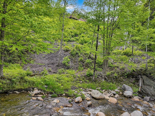 131 Bateman Rd, Byron, ME 04275 - photo 35