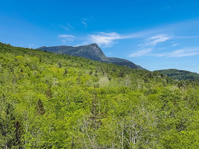 131 Bateman Rd, Byron, ME 04275 - photo 37