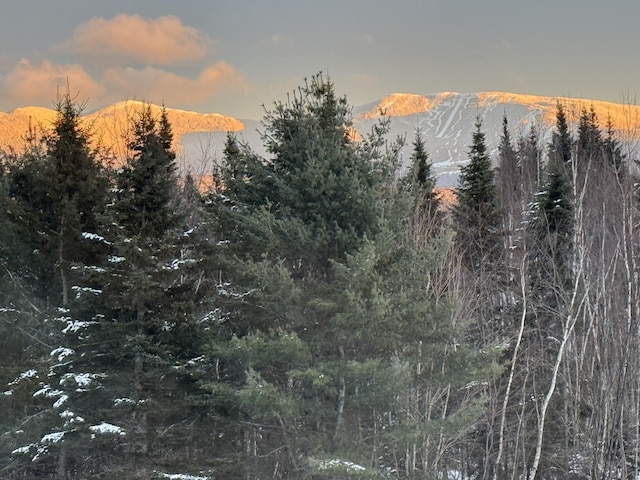 583 Loon Lake Rd, Rangeley, ME 04970 - photo 9