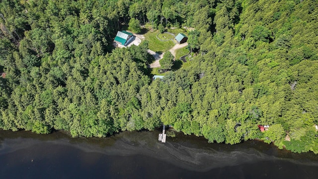 115 Fuller Ln, Denmark, ME 04022 - view of property location with a heavily wooded area and a nearby body of water