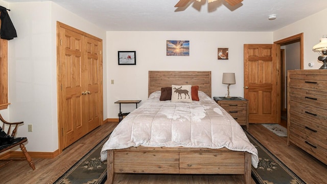 115 Fuller Ln, Denmark, ME 04022 - bedroom with wood finished floors and ceiling fan