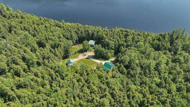 115 Fuller Ln, Denmark, ME 04022 - view of property location featuring a forest