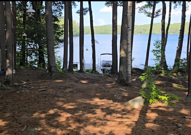 115 Fuller Ln, Denmark, ME 04022 - water view with a boat dock