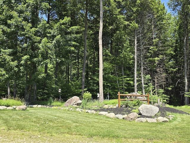 115 Fuller Ln, Denmark, ME 04022 - view of grassy yard