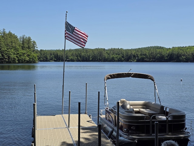 115 Fuller Ln, Denmark, ME 04022 - dock area featuring a water view and a view of trees