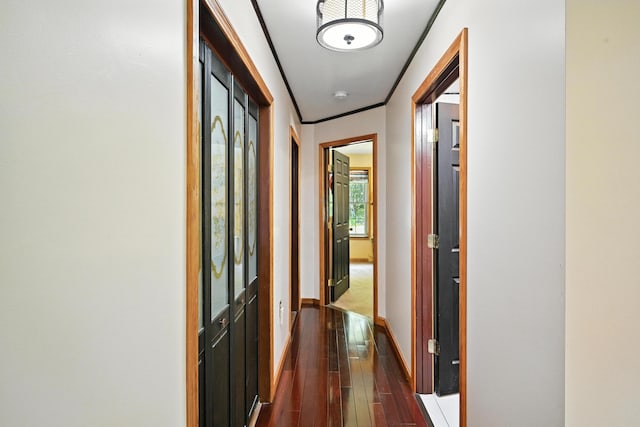 10 Tenacious Way, Augusta, ME 04330 - hall featuring dark wood-type flooring and ornamental molding