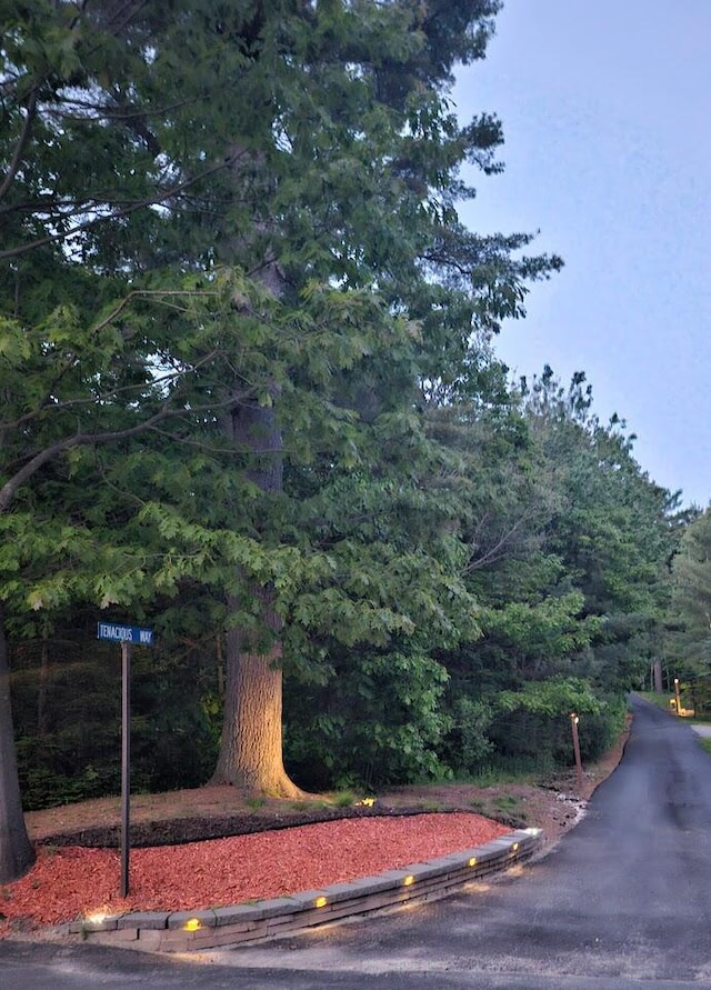 10 Tenacious Way, Augusta, ME 04330 - view of asphalt road featuring curbs