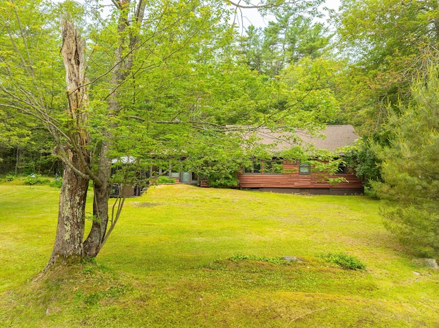 260 Coombs Rd, Brunswick, ME 04011 - view of green lawn