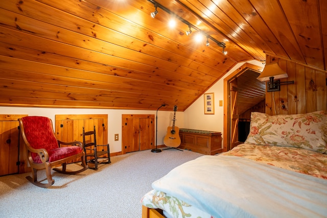 260 Coombs Rd, Brunswick, ME 04011 - bedroom with wood ceiling, carpet floors, rail lighting, and lofted ceiling