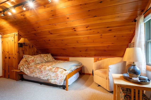 260 Coombs Rd, Brunswick, ME 04011 - bedroom with wooden ceiling, vaulted ceiling, carpet, multiple windows, and track lighting