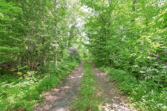 265 Greenacre Rd, Lincolnville, ME 04849 - view of tree filled area