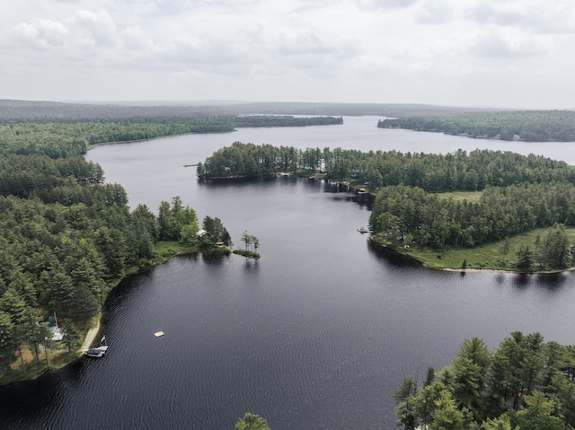 758 Ebeemee Lake Rd, Ebeemee Twp, ME 04414 - photo 21