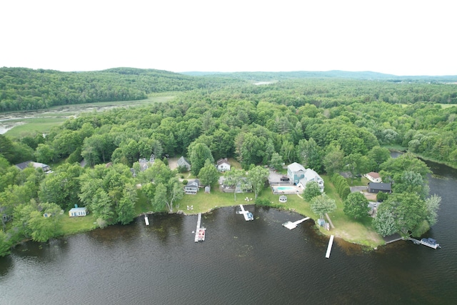 15 Cattail Ln, Monmouth, ME 04259 - view of property location featuring a heavily wooded area and a nearby body of water