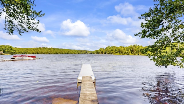 15 Cattail Ln, Monmouth, ME 04259 - dock area with a water view and a forest view